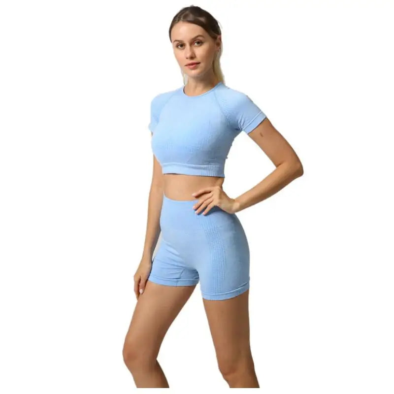 Women's Seamless High Waist Yoga Set - 2 Piece