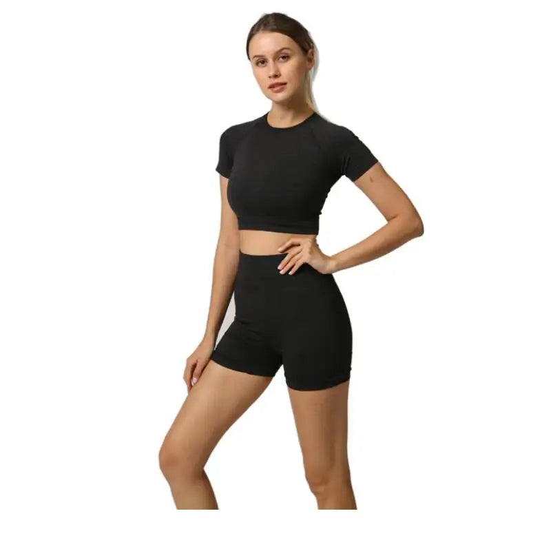 Women's Seamless High Waist Yoga Set - 2 Piece