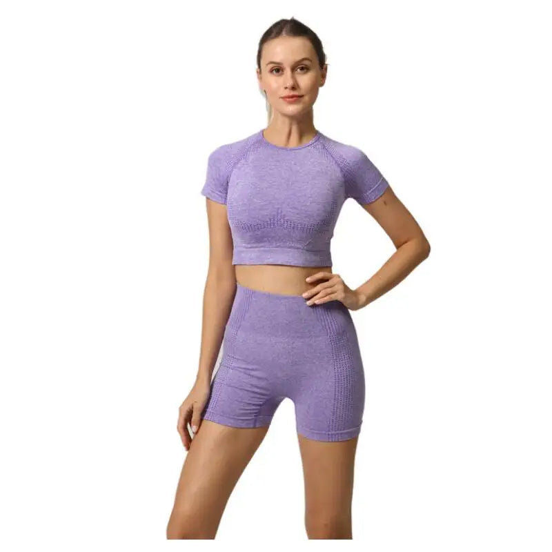 Women's Seamless High Waist Yoga Set - 2 Piece